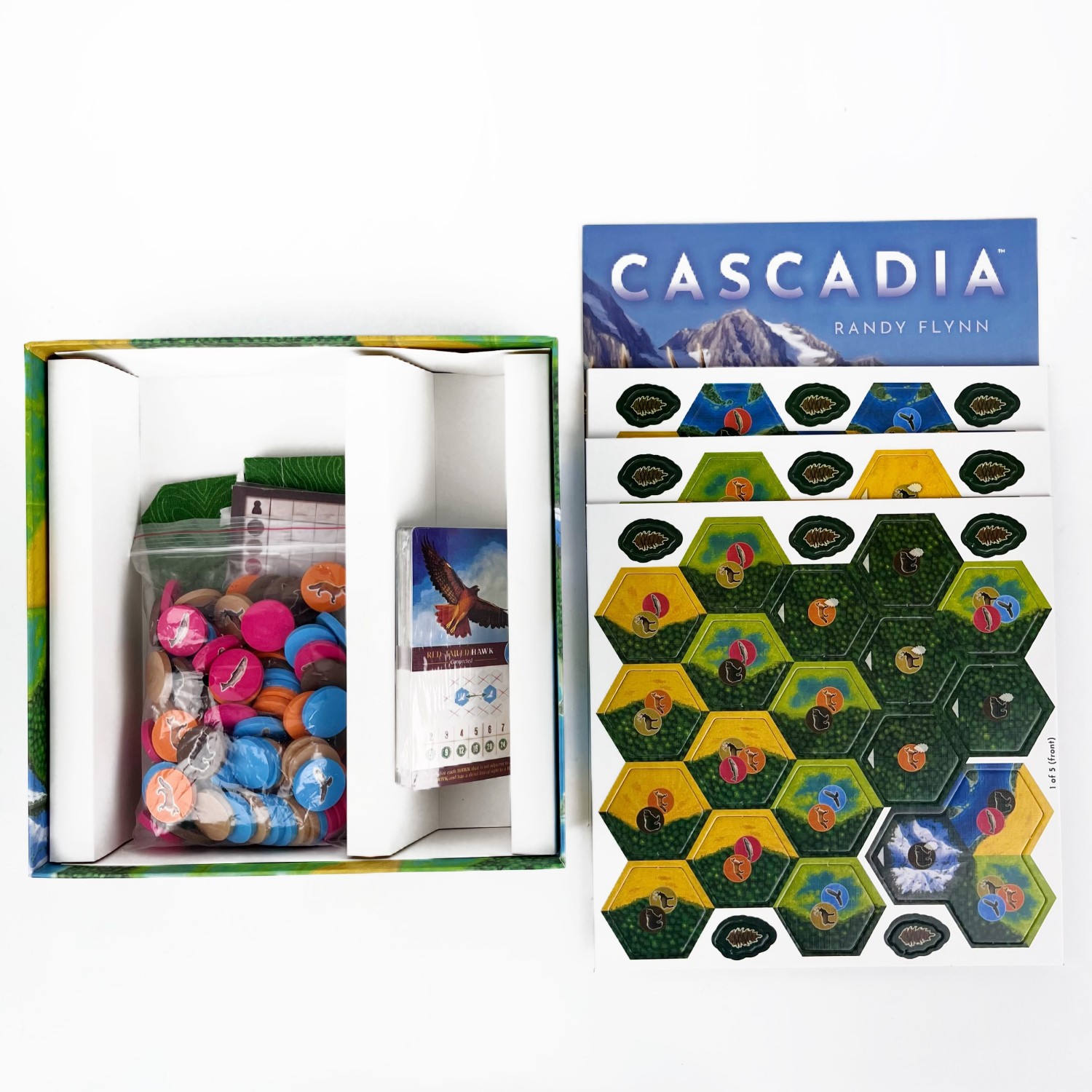Cascadia Boardgame |  Base Gam – Board Game Sequence recenzja i cena